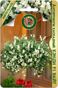 Антирринум каскадный Кэнди F1 Вайт купить