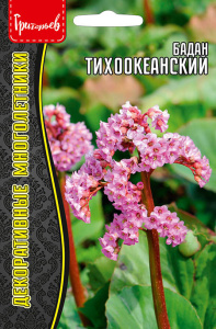 Бадан Тихоокеанский купить