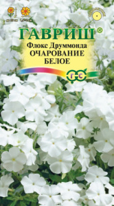 Флокс Очарование белое друммонди купить