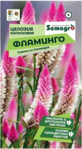 Целозия колосковая Фламинго  купить