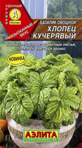 Базилик Хлопец кучерявый  купить