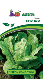 Салат Бернар кочанный  купить