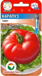 Томат Карапуз  купить