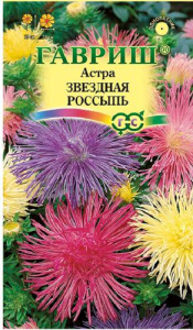 Астра Звездная россыпь (смесь) карлик  купить