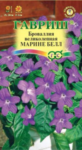 Бровалия Марине Белл  купить