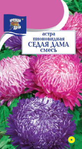 Астра Седая Дама, смесь пионовидная  купить