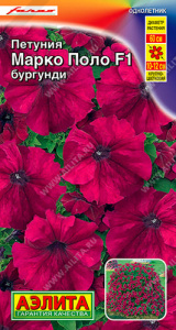 Петуния Марко Поло F1 бургунди купить