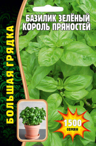 Базилик Король Пряностей зелёный купить