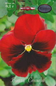 Виола Сеньора/1шт  купить