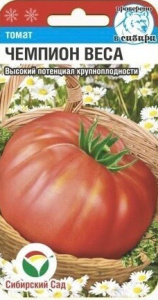 Томат Чемпион веса  купить