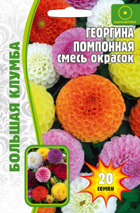 Георгина Смесь Окрасок помпонная купить