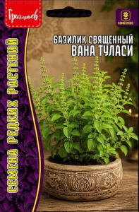 Базилик Вана Туласи священный купить
