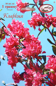 Кларкия Радость/1шт купить