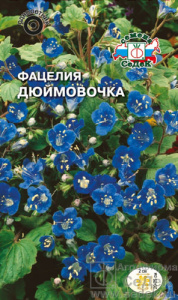 Фацелия Дюймовочка купить
