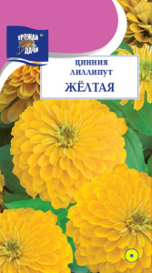 Цинния лиллипут Желтая  купить