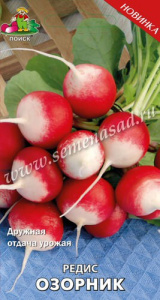 Редис Озорник купить
