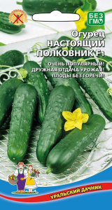 Огурец Настоящий полковник F1  (УД) купить