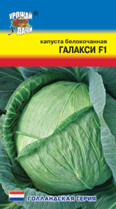 Капуста Галакси F1 Seminis купить