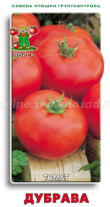 Томат Дубрава купить