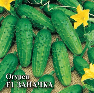 Огурец Заначка  F1 100шт купить