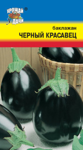 Баклажан Чёрный красавец  купить