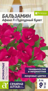 Бальзамин Афина F1 Пурпурный букет купить