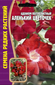 Адениум Аленький Цветочек купить