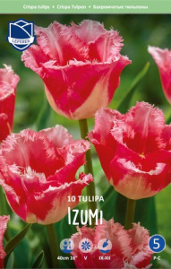 Тюльпан бахромчатый "Izumi" (1х10шт) купить