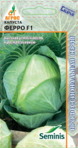 Капуста Ферро F1  Seminis купить