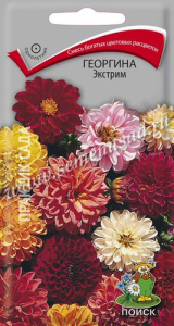 Георгина Экстрим купить