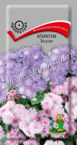 Агератум Тет-а-тет  купить