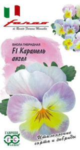 Виола Виттрока Карамель ангел F1  серия Фарао купить