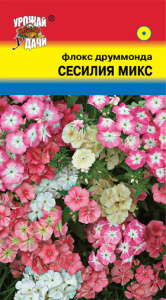 Флокс Сесилия Смесь  купить
