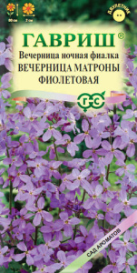 Хесперис Вечерница Матроны фиолетовая купить
