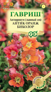 Антирринум Антик Оранж биколор Элитная клумба купить