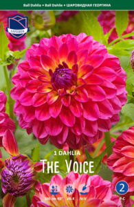 Георгина шаровидная The Voice /1шт купить