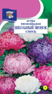 Астра Школьный Звонок, смесь купить