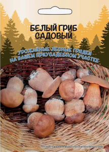 Белый Гриб Садовый  купить