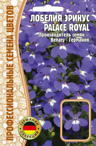 Лобелия Palace Royal  купить