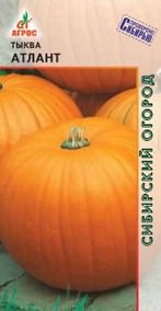 Тыква Атлант  купить