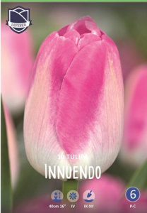 Тюльпан триумф "Innuendo" (1х10шт) купить