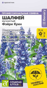Шалфей Фэйри Куин мучнистый купить