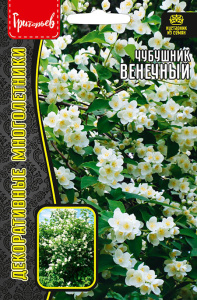 Чубушник Венечный (Philadelphus coronarius) купить