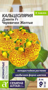 Кальцеолярия Дэинти Черевички желтые  купить