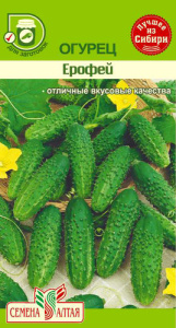 Огурец Ерофей 
