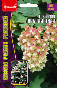 Гортензия Дуболистная купить