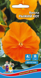 Виола Рыжий Кот  купить