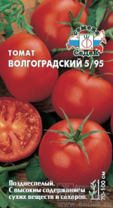 Томат Волгоградский  купить