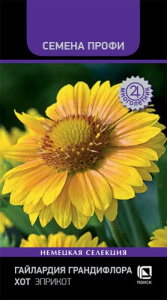 Гайлардия грандифлора Хот Эприкот купить