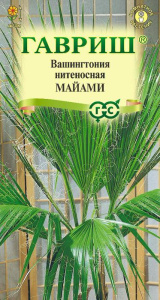 Вашингтония нитеносная Майами купить